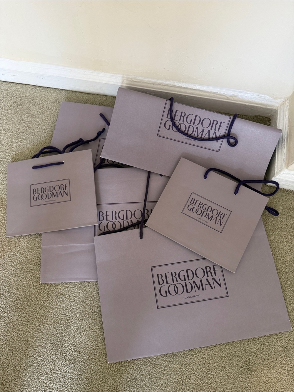🗽6 Bergdorf Goodman Lavender Shopping Bag with Navy Rope Handles